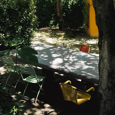 Apartment In Il Ciliegio